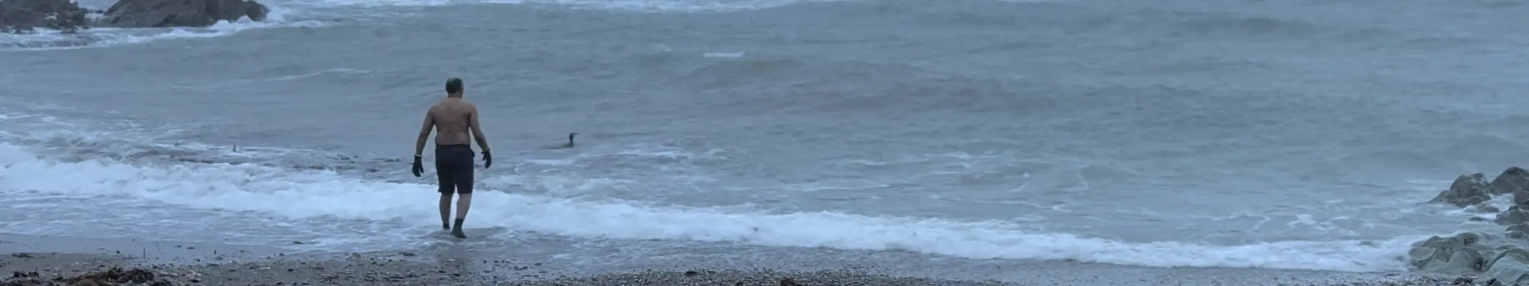 Kenn in swim trunks walks towards the water, gazing at the cormorant in the rough sea waves under a cloudy sky.